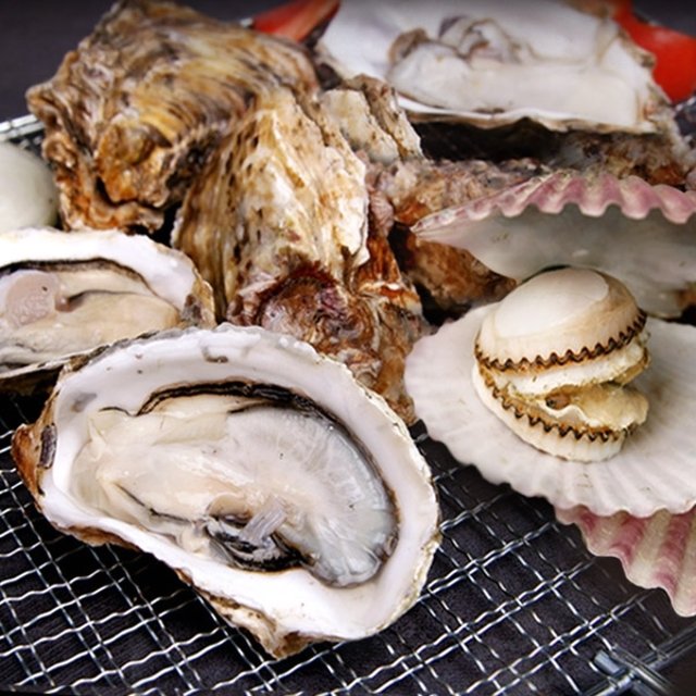 하프클럽 [춘백이네어부장터] 산지직송 통영 홍가리비 2kg+석화 3kg + 초장세트