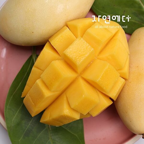 하프클럽 [자연에더]Songs 망고 베트남 골드망고 3~6과 / 1.5kg 내외