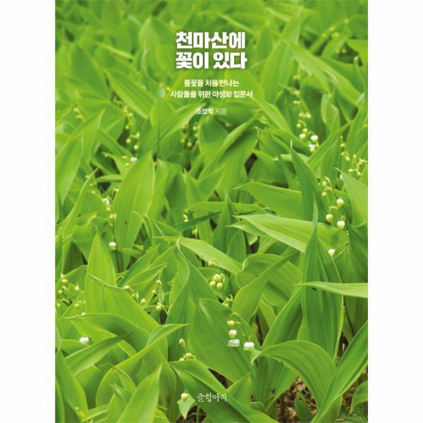 [보리보리] 웅진북센 천마산에 꽃이 있다