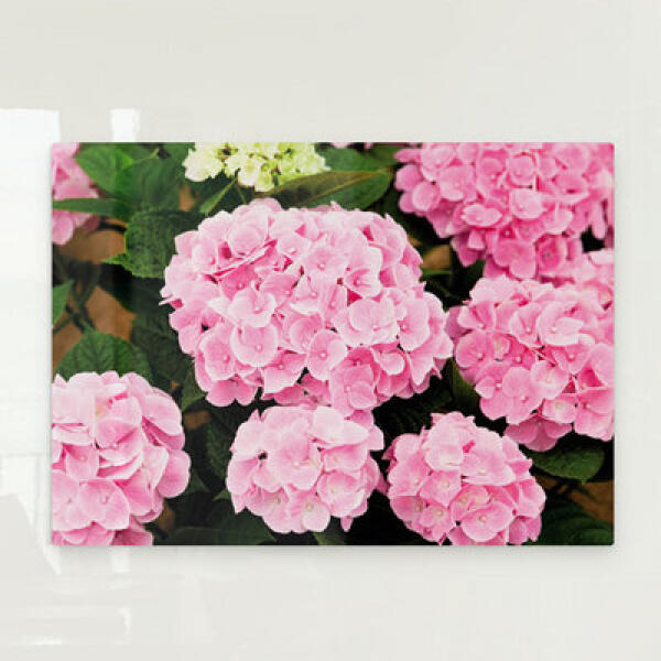 [보리보리] 아트박스 POOM 아트박스/꾸밈 pj247-폼아크릴액자78CmX56Cm_분홍수국