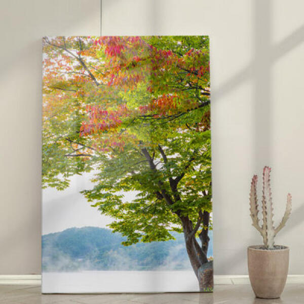 [보리보리] 아트박스 POOM 아트박스/꾸밈 ta935-폼아크릴액자38CmX58Cm세로형_북한강과나무