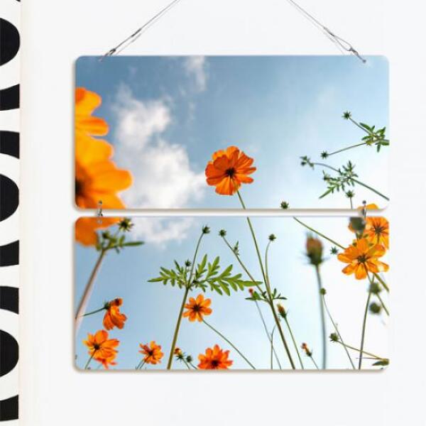 [보리보리] 아트박스 POOM 아트박스/꾸밈 nn763-멀티아크릴액자_황화코스모스(2단)