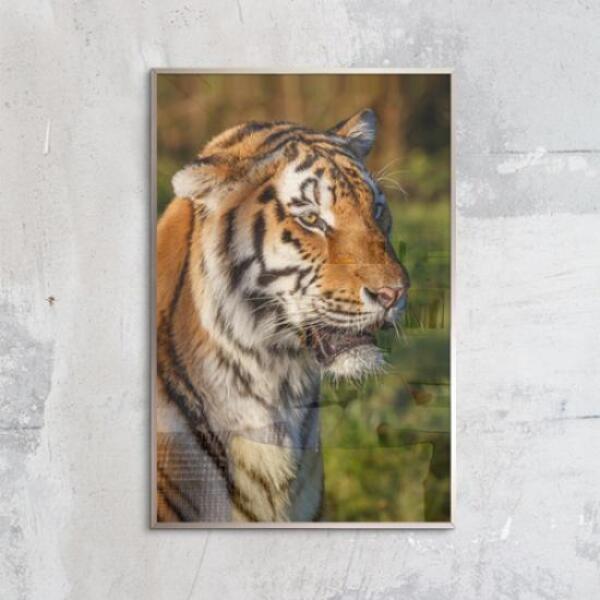 [보리보리] 아트박스 POOM 아트박스/꾸밈 cq507-고양이과동물들_중형메탈액자