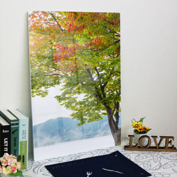 [보리보리] 아트박스 POOM 아트박스/꾸밈 ta929-폼아크릴액자56CmX78Cm세로형_북한강과나무