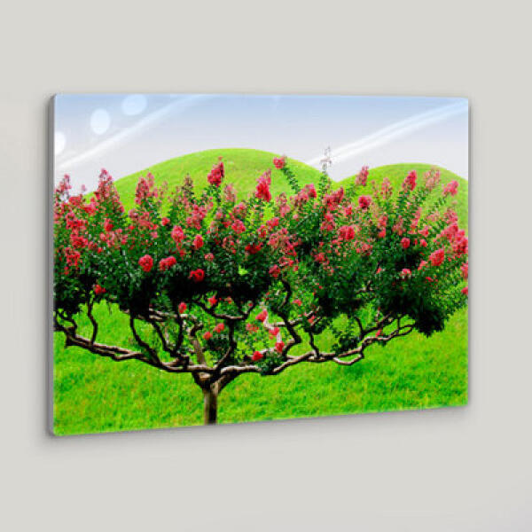 [보리보리] 아트박스 POOM 아트박스/꾸밈 da374-폼아크릴액자58CmX38Cm_싱그러운배롱나무