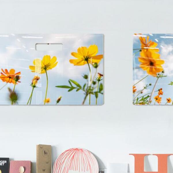 [보리보리] 아트박스 POOM 아트박스/꾸밈 nt091-행잉액자_황화코스모스(가로대형)