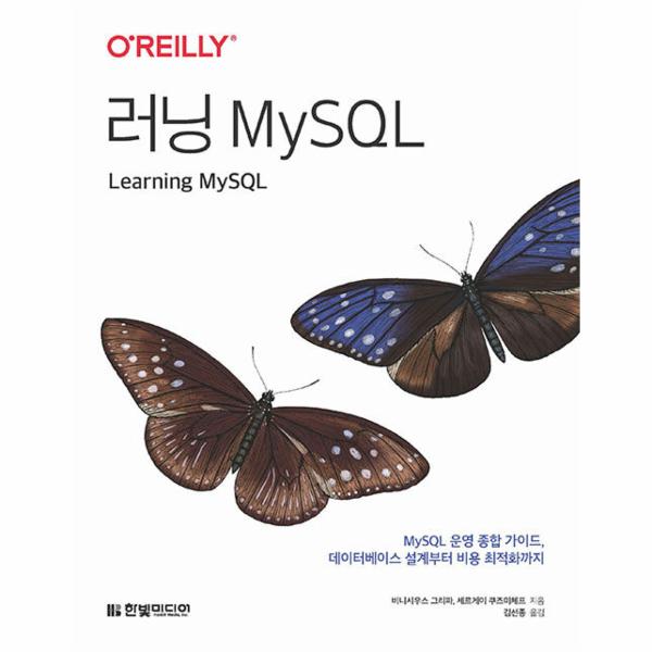 [보리보리] 웅진북센 러닝 MySQL - MySQL 운영 종합 가이드, 데이터베이스 설계부터 비용 최적화까지