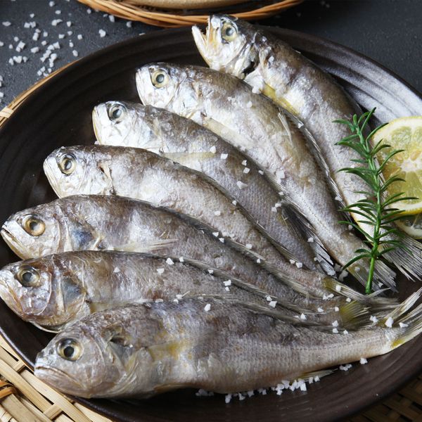 [보리보리] 도도나 HACCP 인증 법성포 영광 참맛 진굴비 800g 20미 / 전라남도 지사 인증