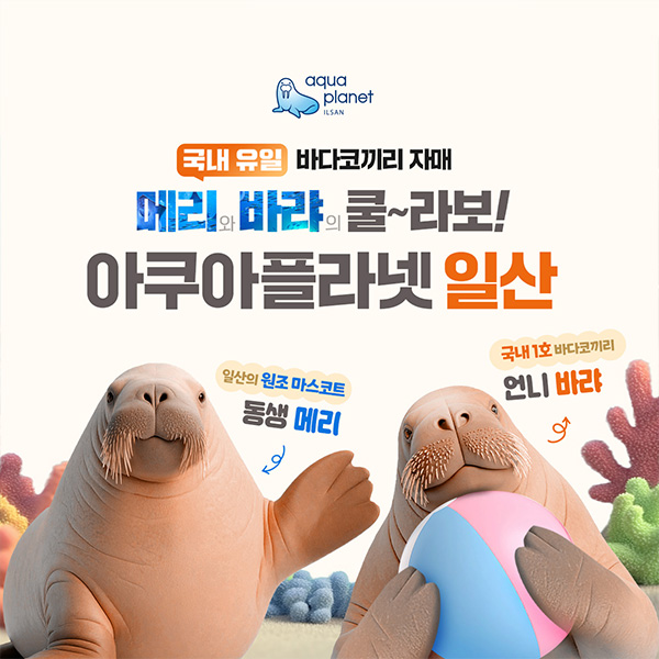 [보리보리] 아쿠아플라넷 아쿠아플라넷 입장권(8/1~8/31)