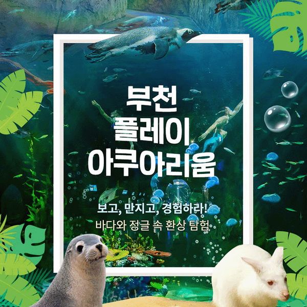 [보리보리] 플레이아쿠아리움 부천 부천 플레이아쿠아리움  (당일 구매, 당일 사용 가능)