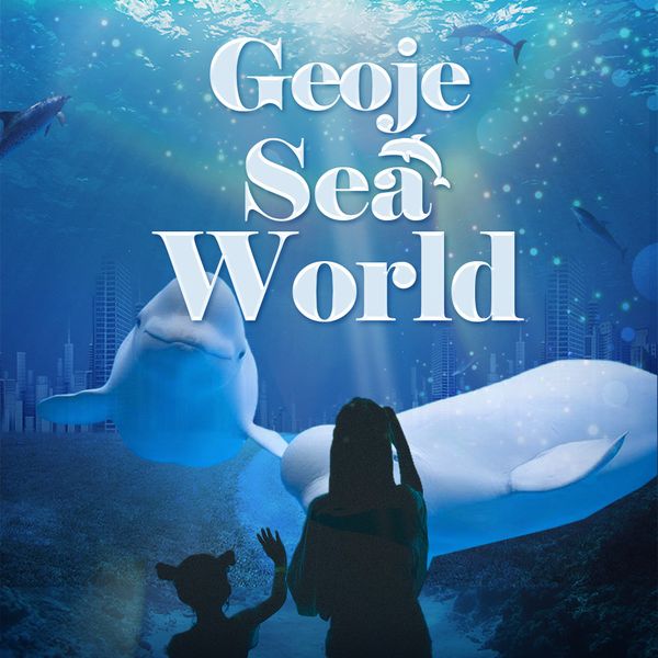 [보리보리] 거제 씨월드 거제 씨월드 입장권(~25/11/30까지)